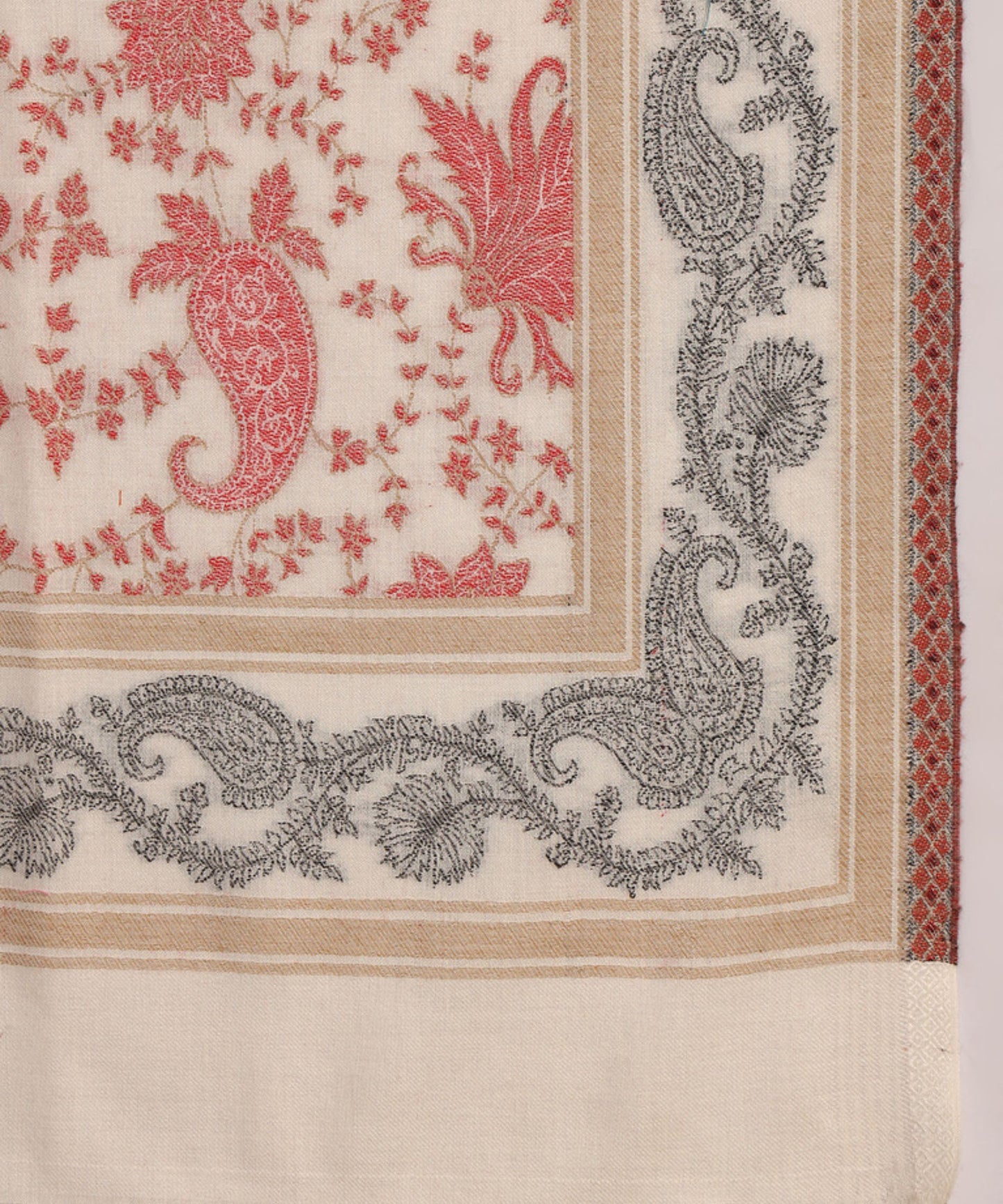 Kanidar- Kalamkari Weave Border With Contrast All Over Paisely Flower Jall
